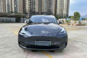 Model Y 特斯拉 改款 长续航后轮驱动版