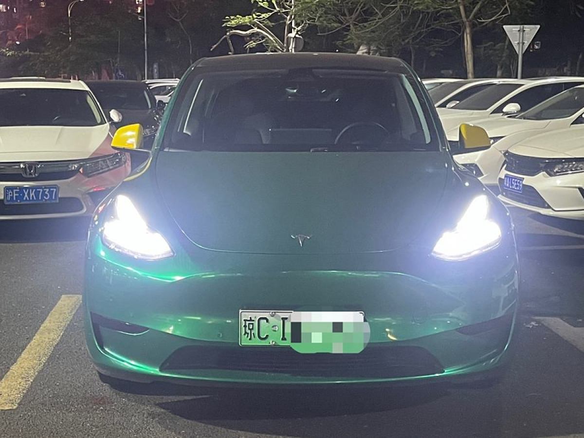 特斯拉 Model 3  2020款 改款 長續(xù)航后輪驅(qū)動版圖片