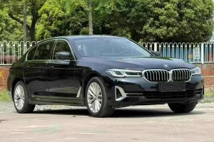 寶馬5系 寶馬 530Li 領(lǐng)先型 豪華套裝