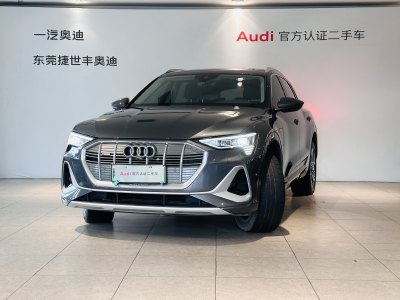 2021年8月 奥迪 奥迪e-tron 50 quattro 臻选型图片