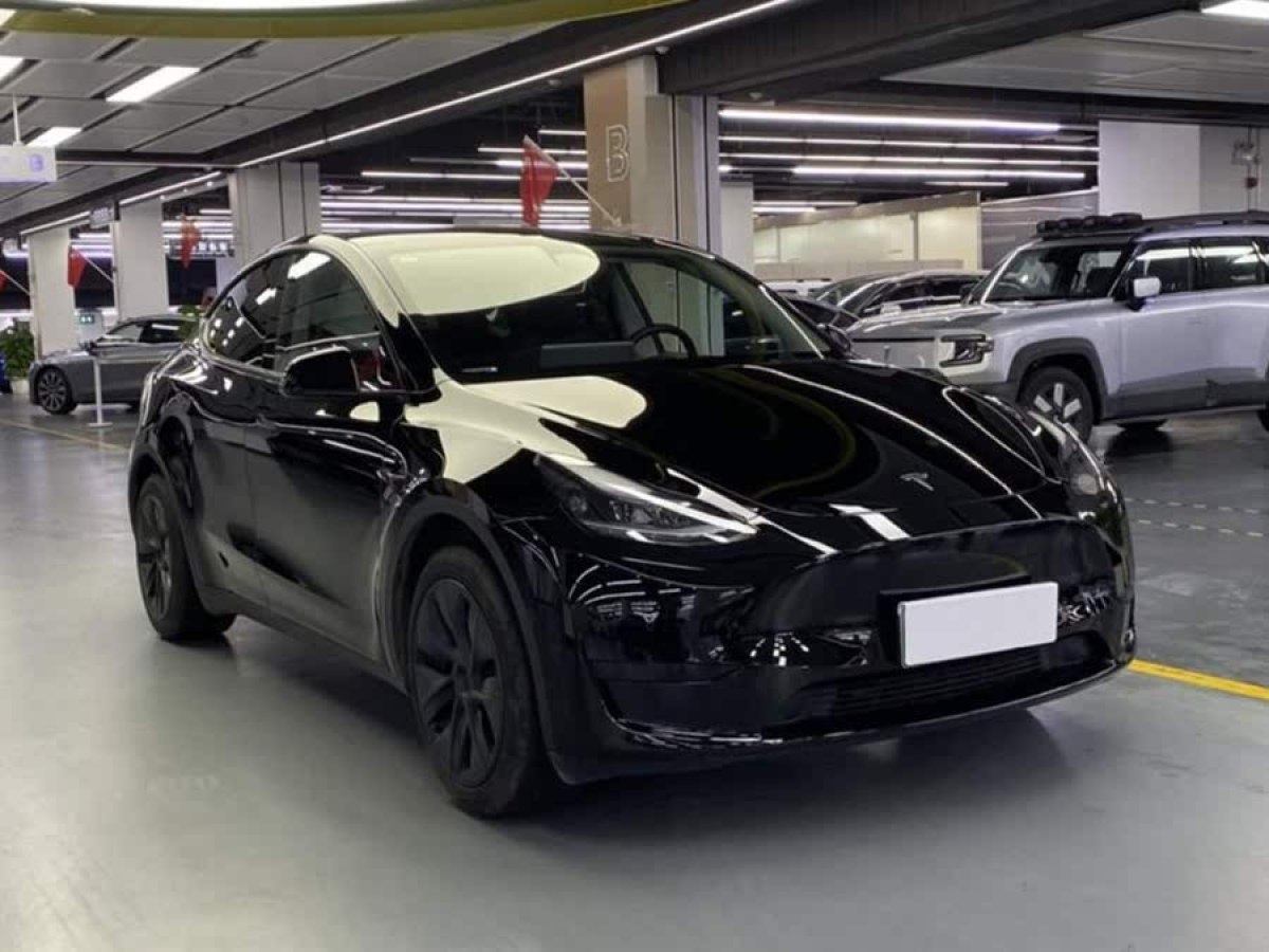 特斯拉 Model Y  2023款 后輪驅(qū)動版圖片