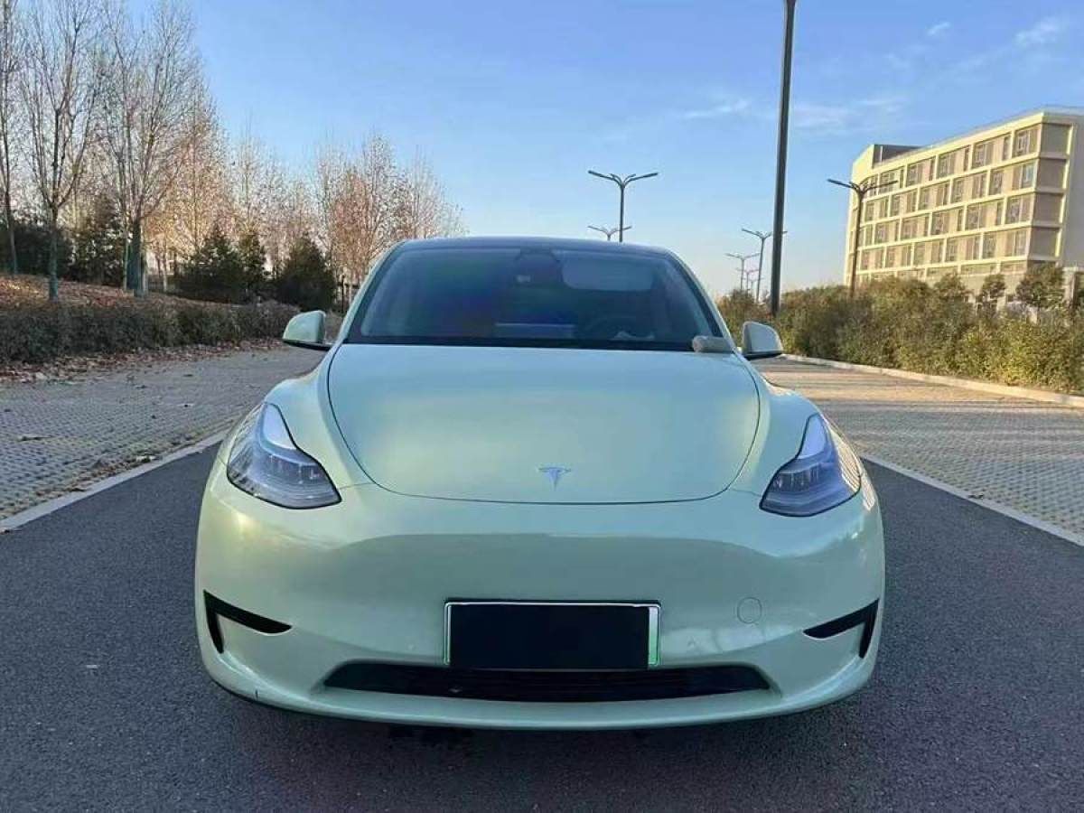 特斯拉 Model 3  2020款 改款 長續(xù)航后輪驅(qū)動版圖片