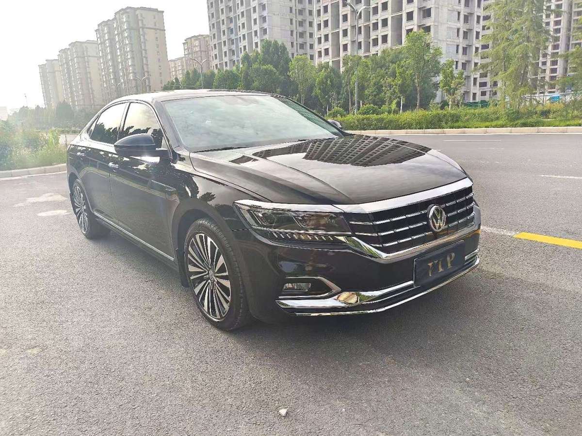 2019年6月大眾 帕薩特  2019款 380TSI 尊貴版