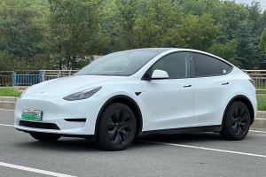 Model Y 特斯拉 改款 长续航后轮驱动版