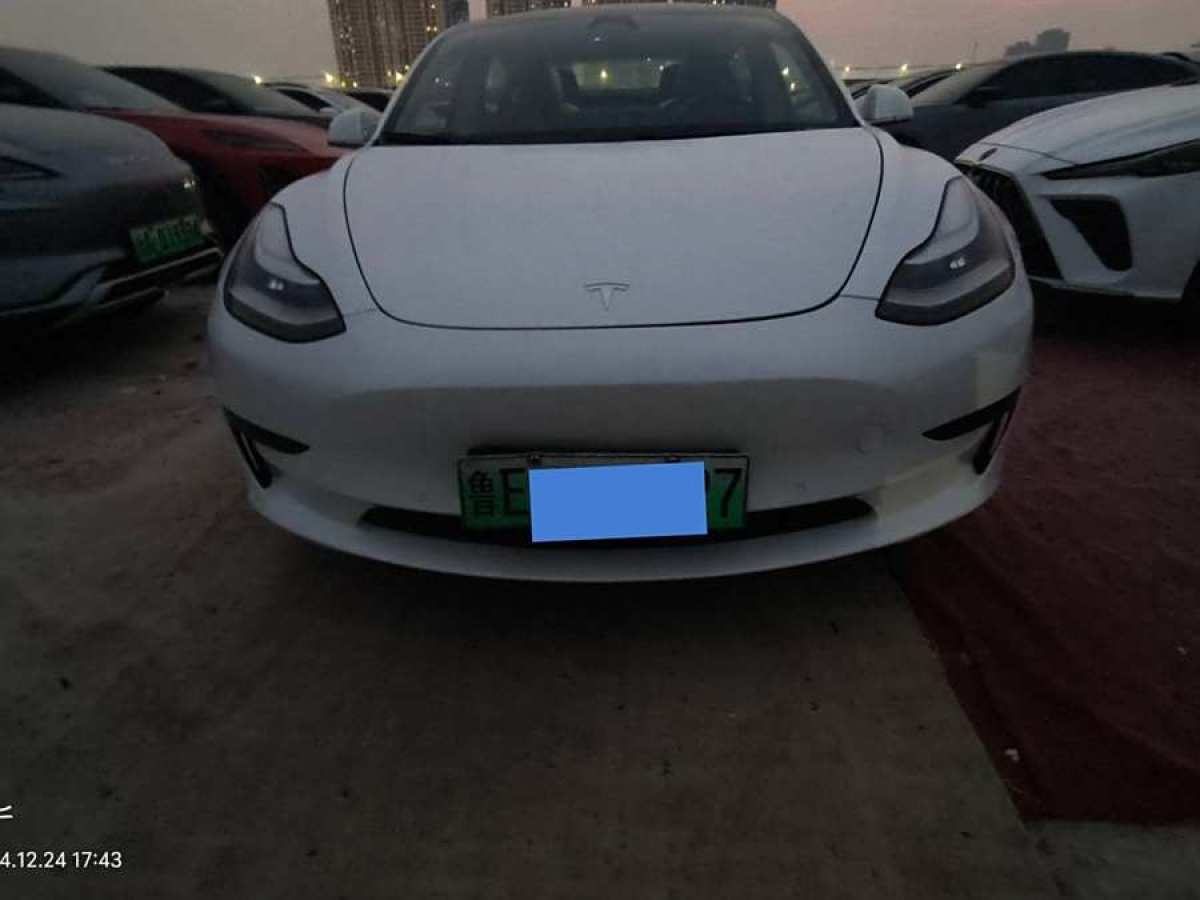 特斯拉 Model 3  2020款 改款 標(biāo)準(zhǔn)續(xù)航后驅(qū)升級版圖片