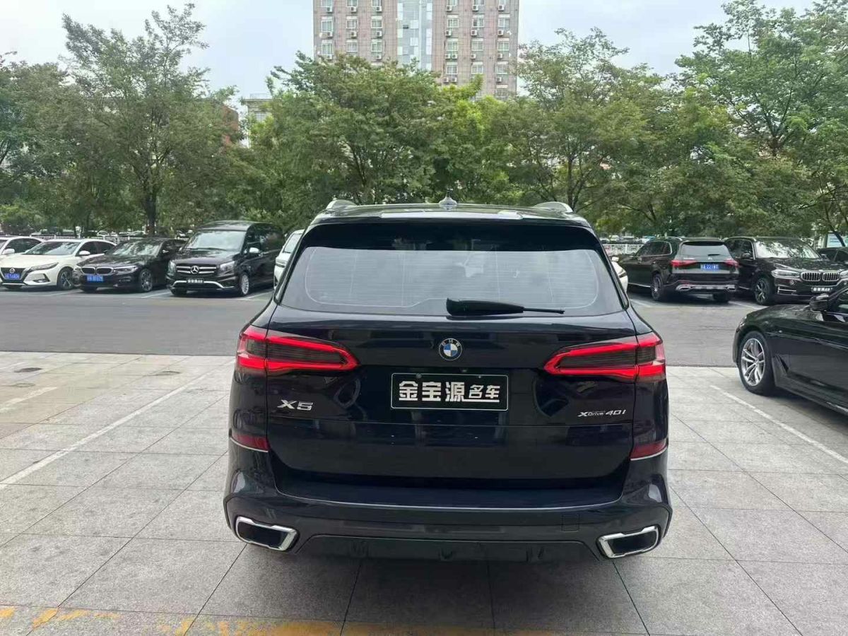 寶馬 寶馬X5  2019款 xDrive30i X設(shè)計(jì)套裝圖片
