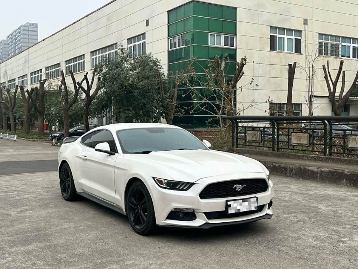 福特 Mustang  2015款 2.3T 性能版圖片