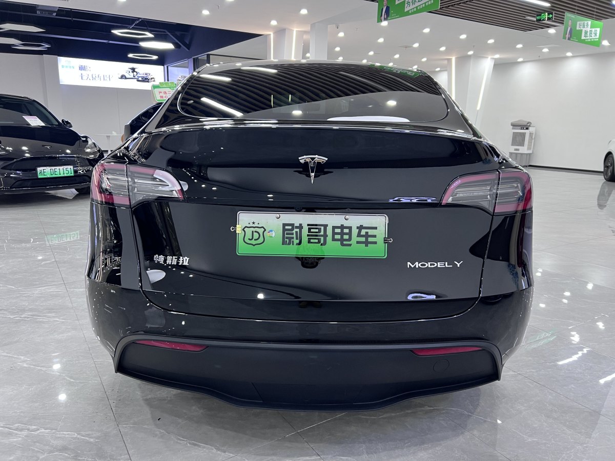 特斯拉 Model 3  2020款 改款 長續(xù)航后輪驅(qū)動版圖片