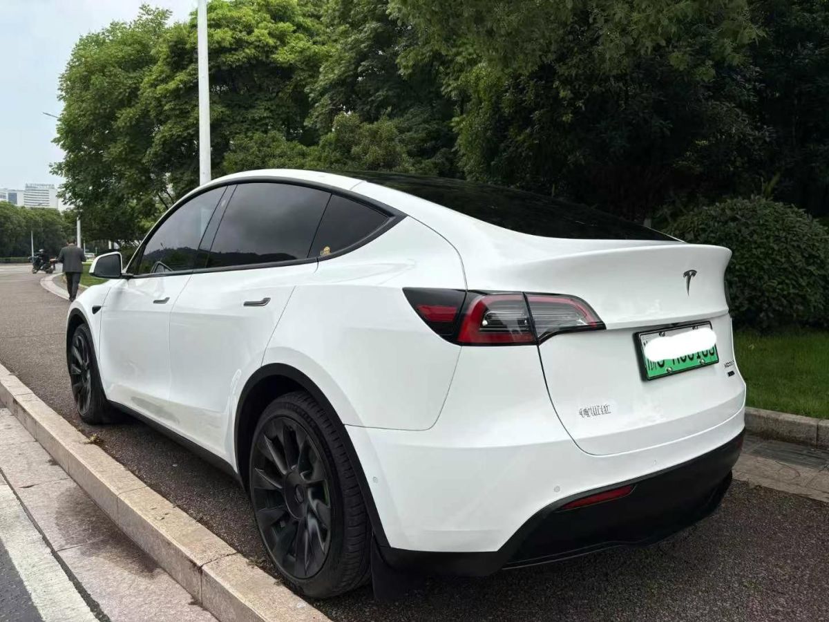 特斯拉 Model S  2023款 三電機(jī)全輪驅(qū)動(dòng) Plaid版圖片