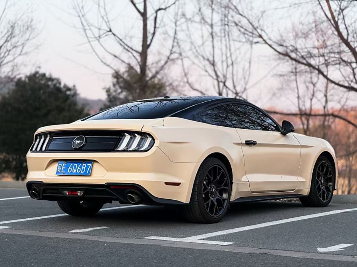 福特 Mustang  2020款 2.3L EcoBoost圖片