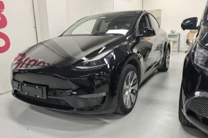 Model Y 特斯拉 標(biāo)準(zhǔn)續(xù)航后驅(qū)版