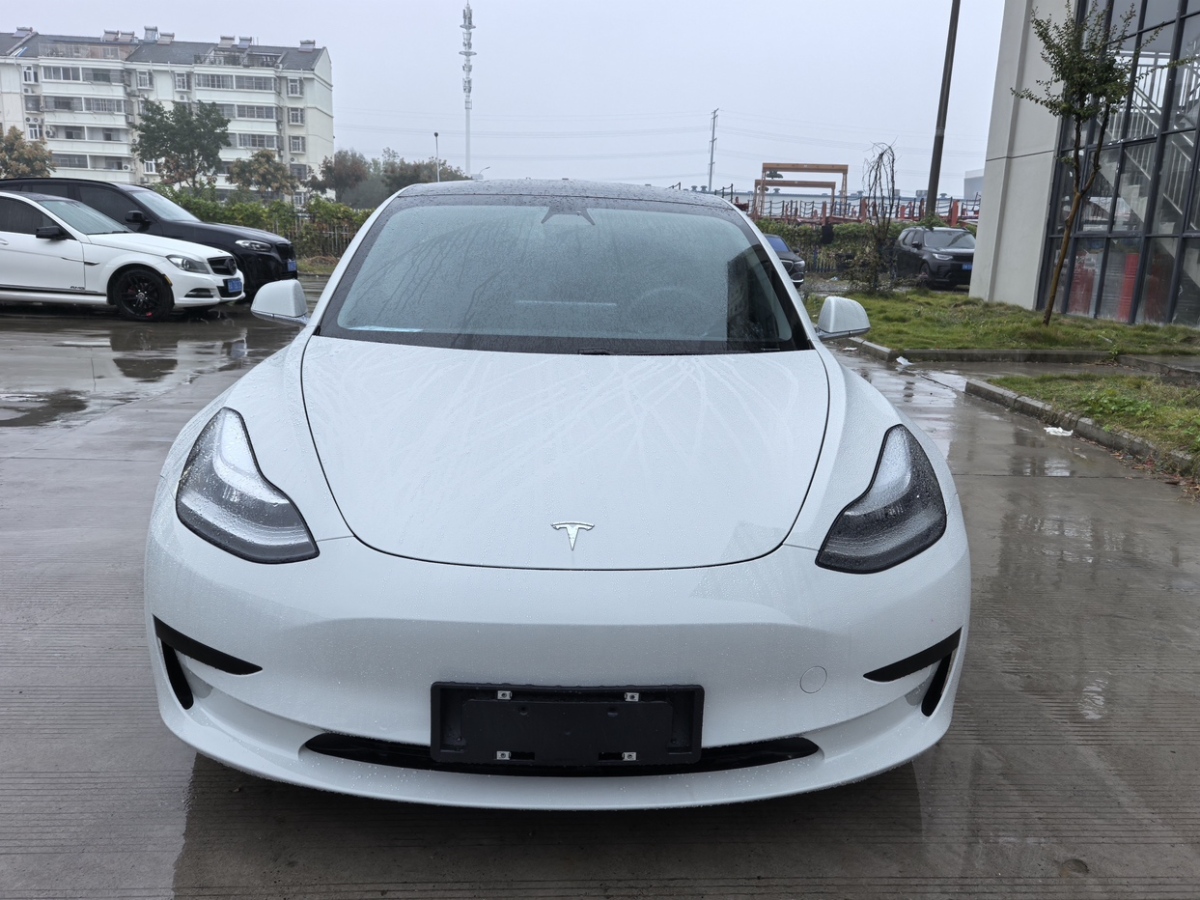 特斯拉 Model Y  2020款 改款 標(biāo)準(zhǔn)續(xù)航后驅(qū)升級版圖片