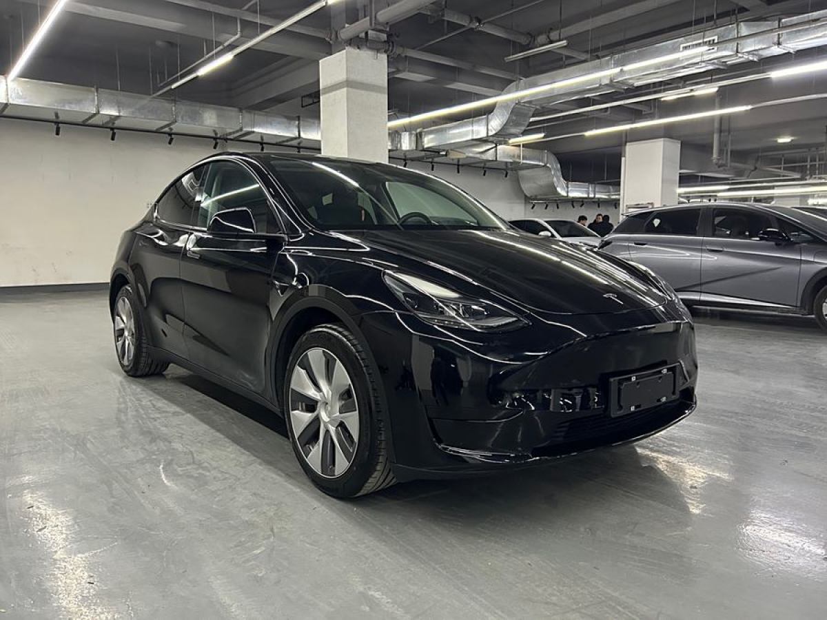 特斯拉 Model 3  2022款 后輪驅(qū)動版圖片