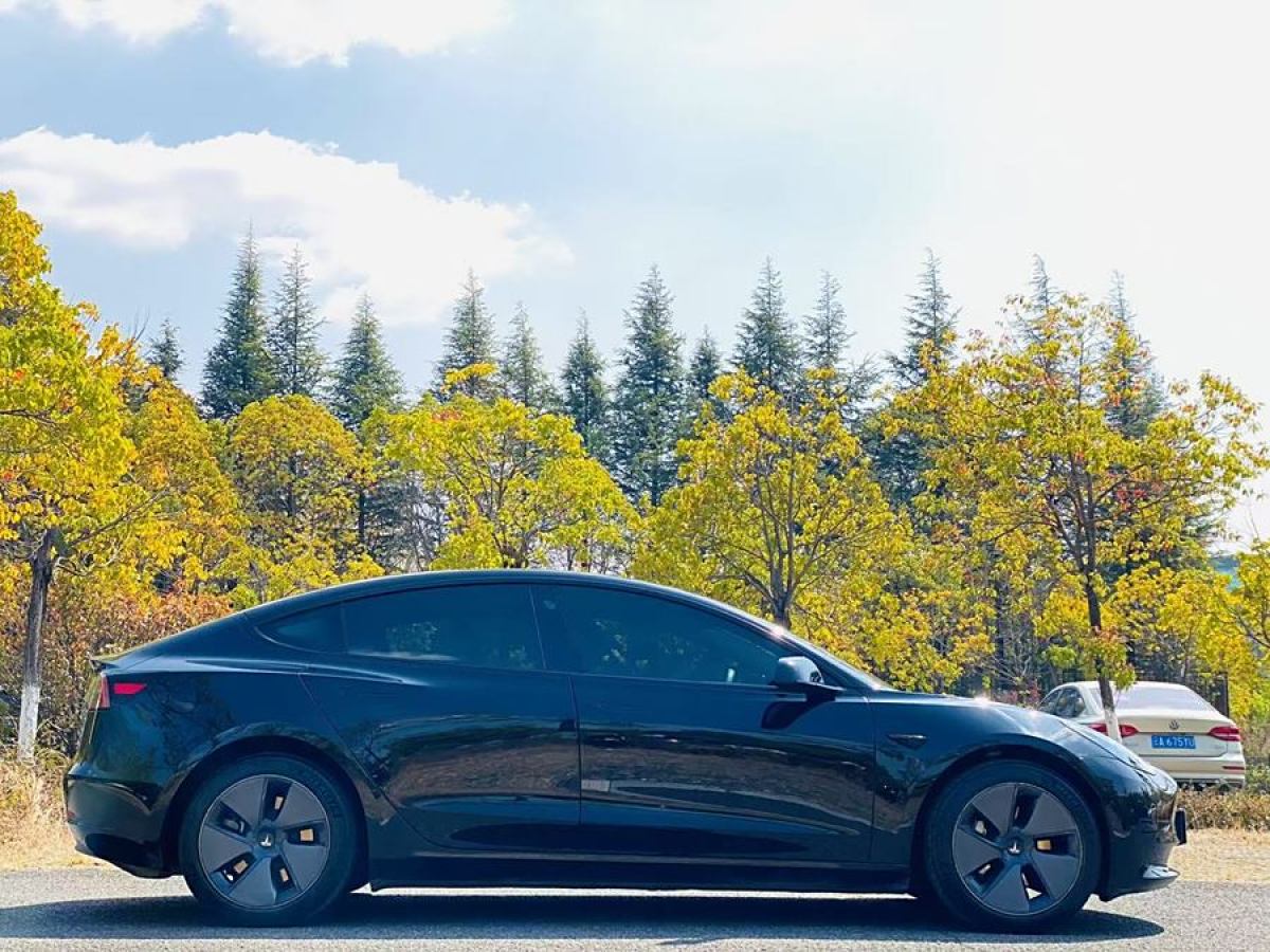 特斯拉 Model Y  2022款 改款 后輪驅(qū)動版圖片