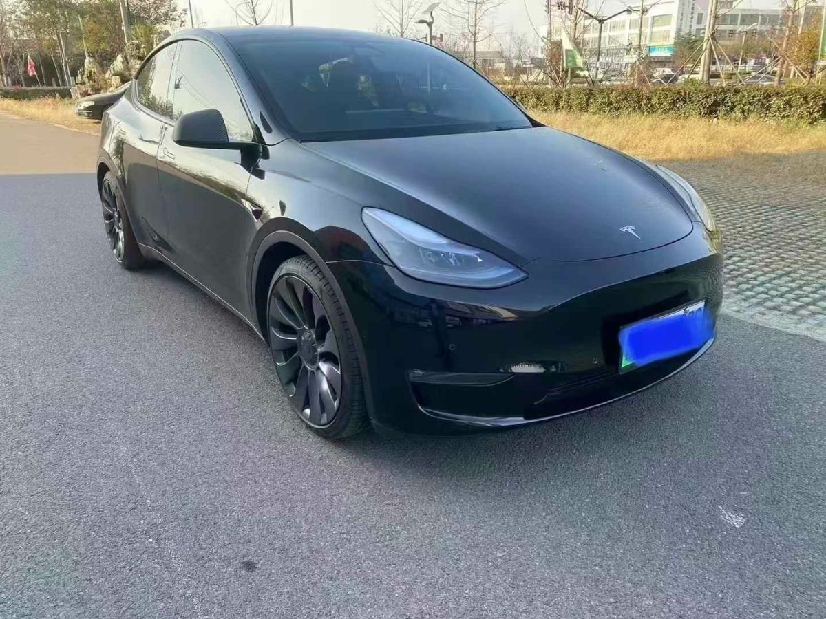 特斯拉 Model S  2023款 三電機(jī)全輪驅(qū)動(dòng) Plaid版圖片