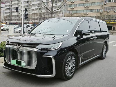 2025年2月 嵐圖 夢想家 PHEV 四驅(qū)尊貴鯤鵬版圖片