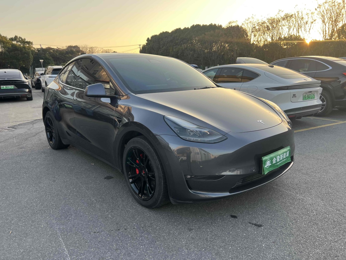 特斯拉 Model 3  2023款 長續(xù)航煥新版 雙電機全輪驅動圖片