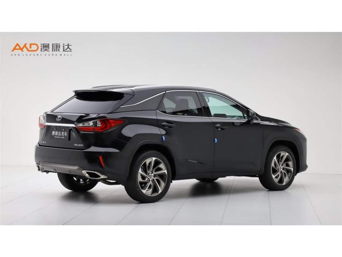 雷克薩斯 RX  2016款 300 四驅(qū)典雅版 國VI圖片