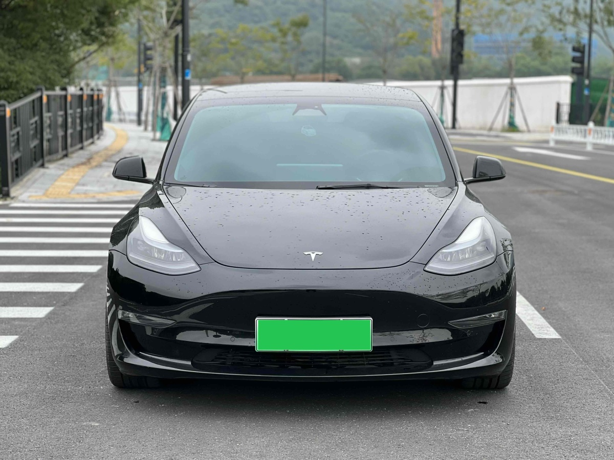 特斯拉 Model 3  2019款 Performance高性能全輪驅(qū)動(dòng)版圖片