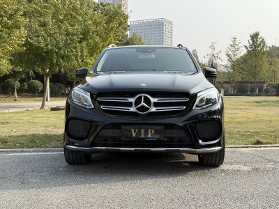 2016年6月 奔馳 奔馳GLE(進(jìn)口) GLE 320 4MATIC 豪華型圖片