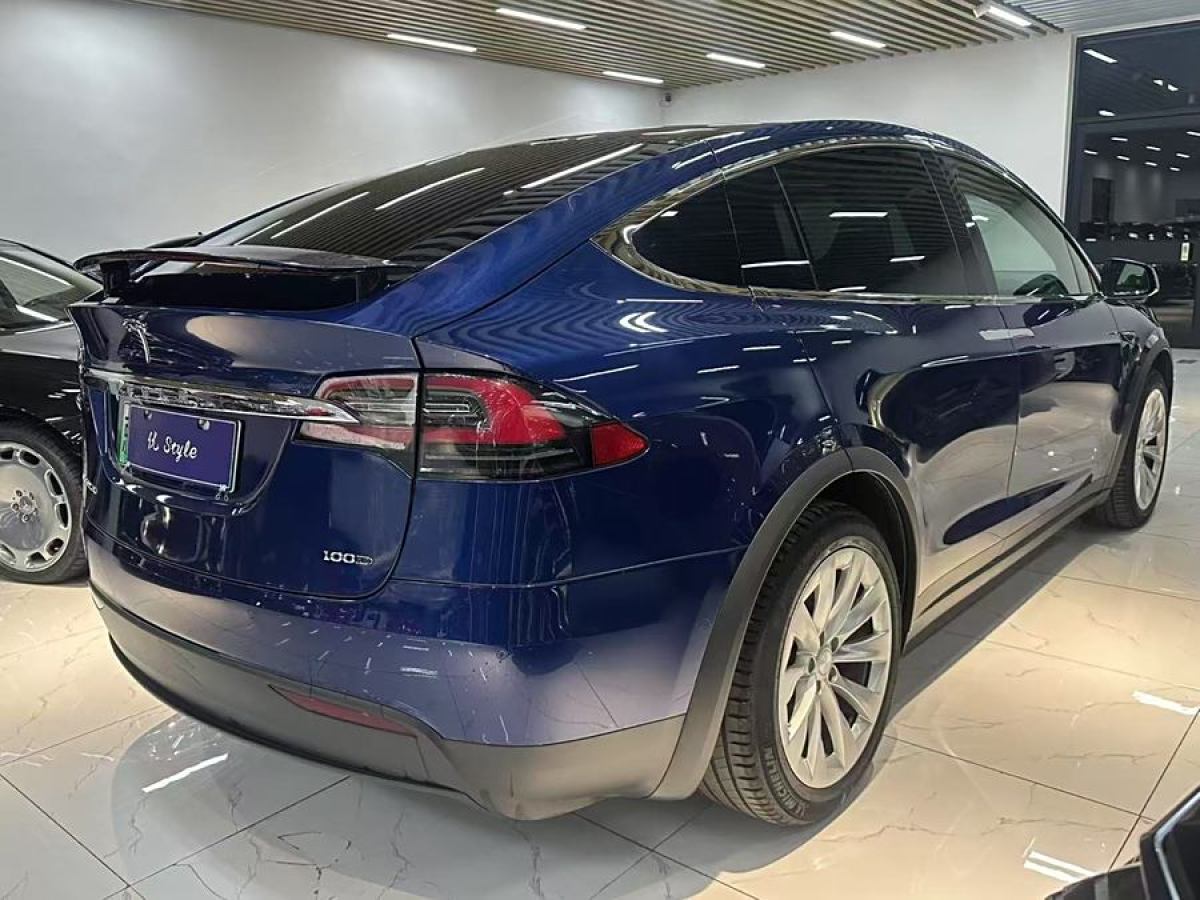 特斯拉 Model X  2019款 長續(xù)航版圖片