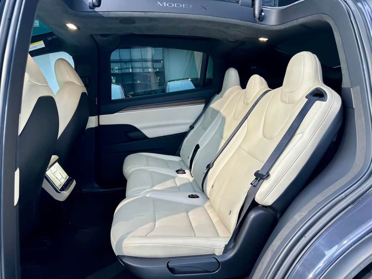 特斯拉 Model X  2023款 雙電機(jī)全輪驅(qū)動(dòng)版圖片