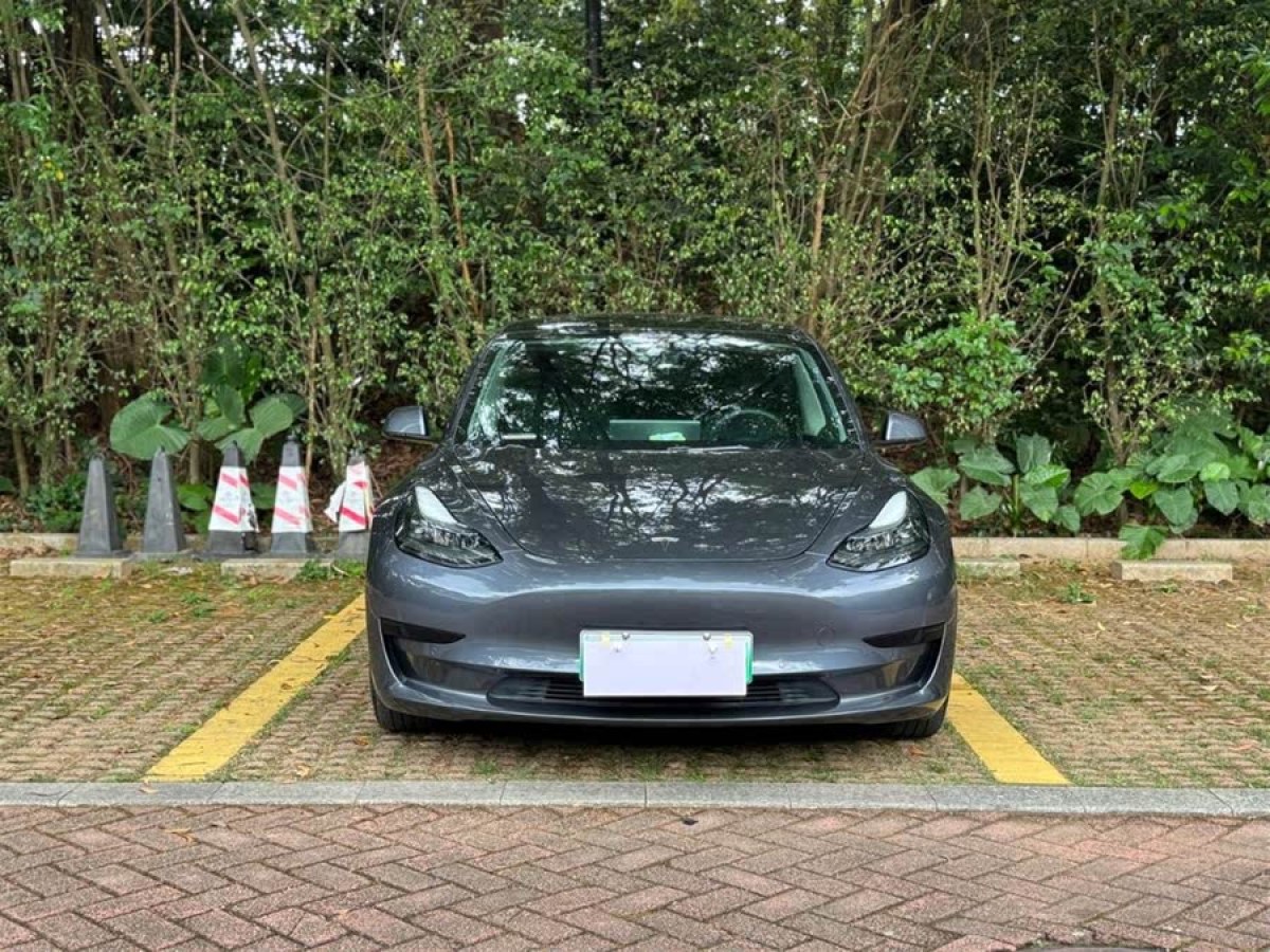 特斯拉 Model 3  2022款 后輪驅(qū)動(dòng)版圖片