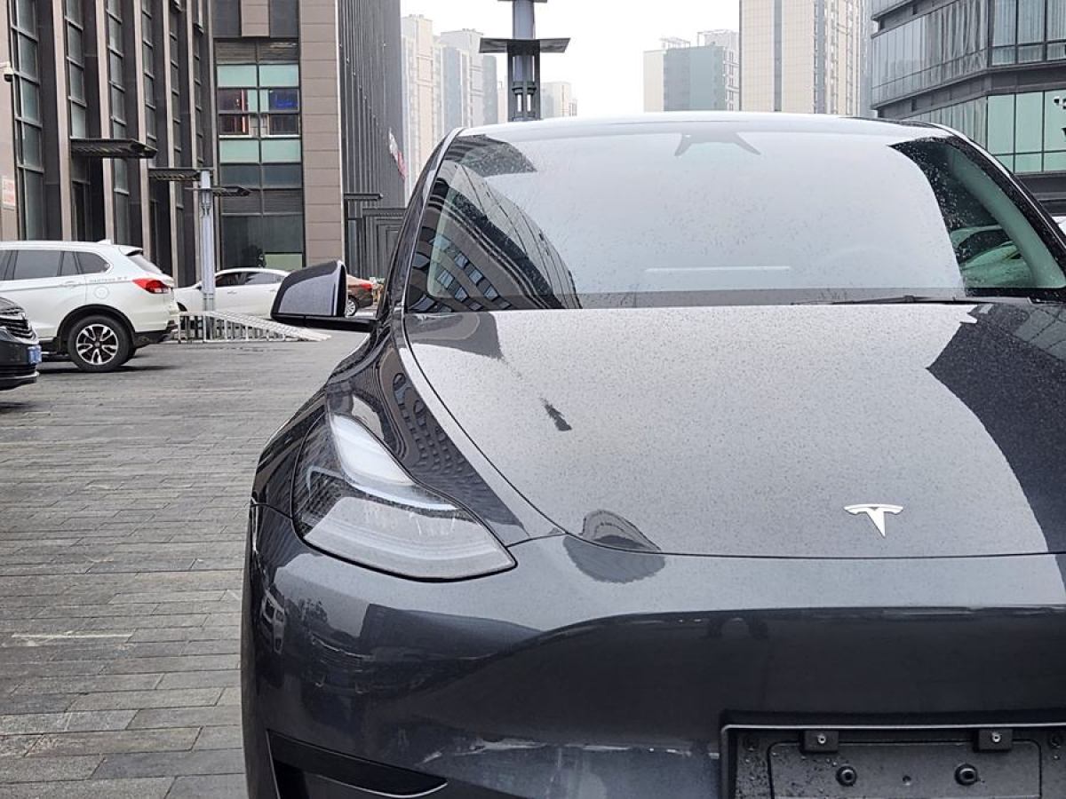 特斯拉 Model Y  2020款 改款 長(zhǎng)續(xù)航后輪驅(qū)動(dòng)版圖片