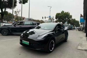 Model 3 特斯拉 Performance高性能全轮驱动版