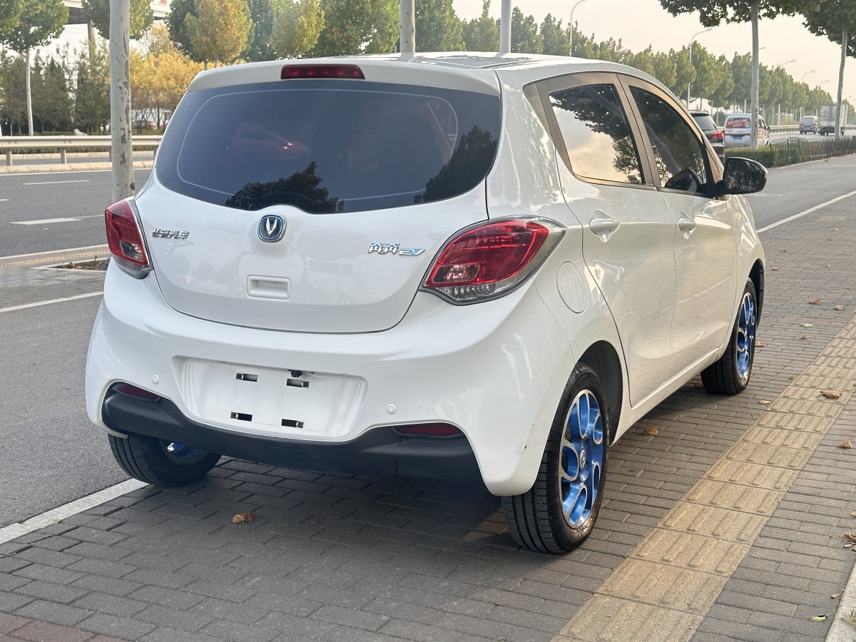 長安 奔奔EV  2019款 改款 EV360 標(biāo)準(zhǔn)型圖片