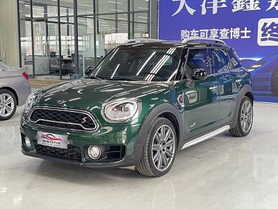 2019年5月 MINI COUNTRYMAN 2.0T COOPER S ALL4 藝術(shù)家圖片