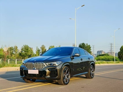 2022年1月 宝马 宝马X6(进口) xDrive40i M运动套装图片