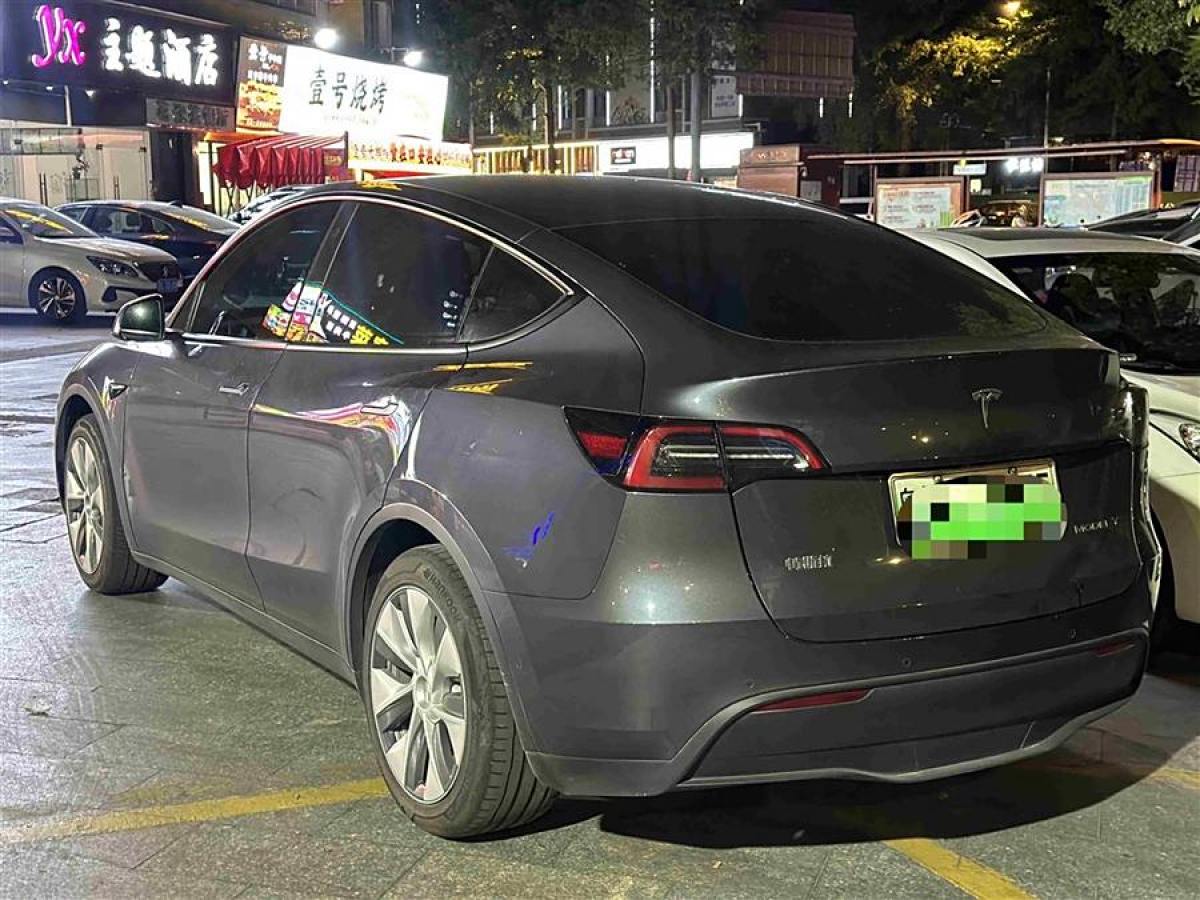 特斯拉 Model Y  2020款 改款 長續(xù)航后輪驅(qū)動版圖片