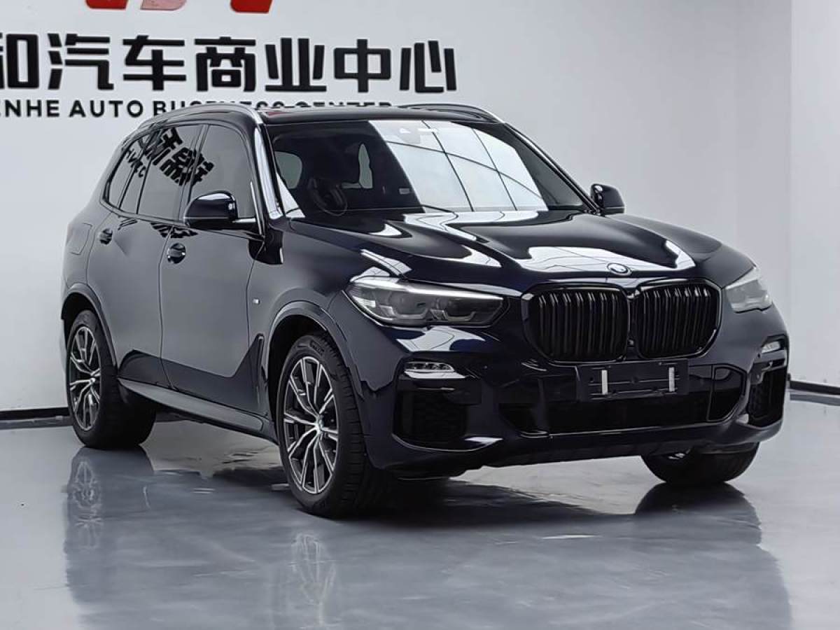 寶馬 寶馬X5新能源  2020款 xDrive45e M運動套裝圖片