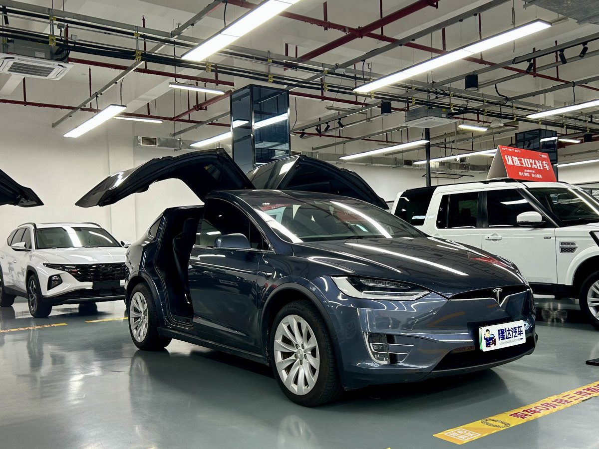 特斯拉 Model X  2019款 長(zhǎng)續(xù)航版圖片