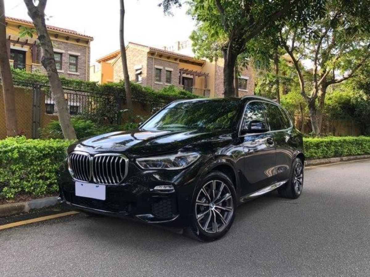 2019年2月宝马 宝马X5  2019款 xDrive40i M运动套装