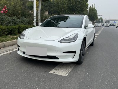 2020年4月 特斯拉 Model 3 標(biāo)準(zhǔn)續(xù)航后驅(qū)升級版圖片