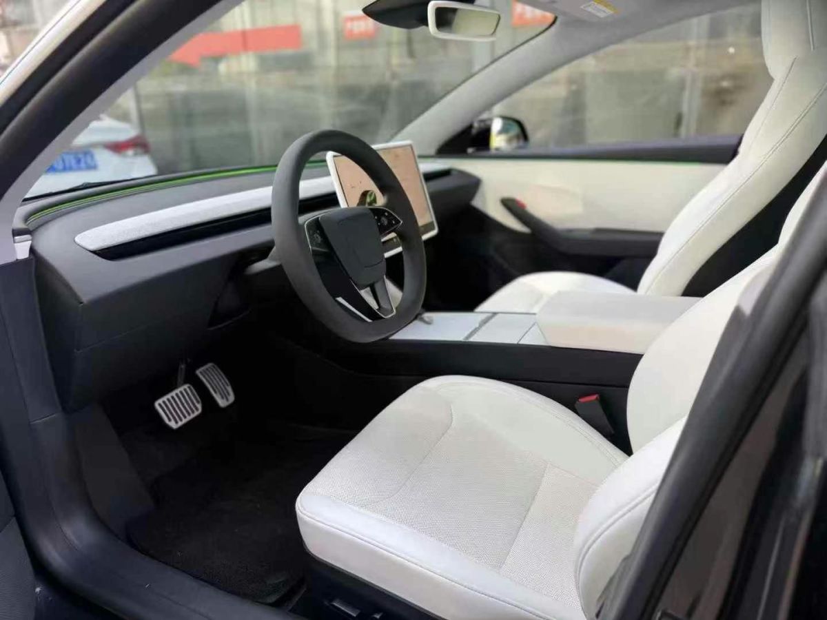 特斯拉 Model Y  2024款 Performance高性能版圖片
