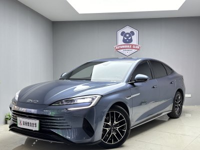 2023年10月 比亚迪 海豹 DM-i 1.5L 121km 尊贵型图片