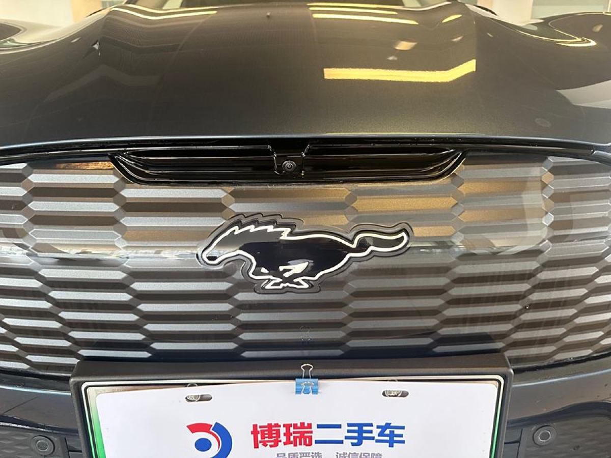 福特 Mustang Mach-E  2021款 長續(xù)航后驅(qū)版圖片