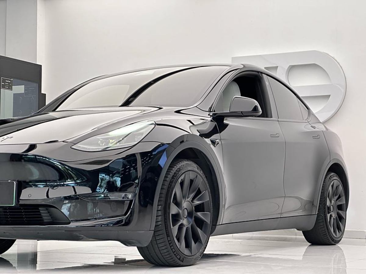 特斯拉 Model 3  2021款 改款 長(zhǎng)續(xù)航全輪驅(qū)動(dòng)版圖片