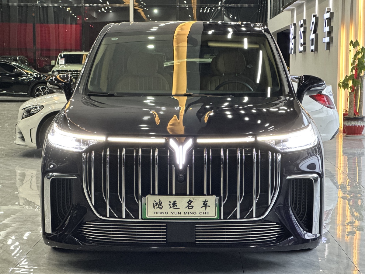 嵐圖 夢(mèng)想家  2024款 PHEV 超長(zhǎng)續(xù)航旗艦版圖片