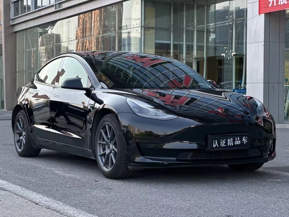 2021年5月特斯拉 Model Y  2021款 標(biāo)準(zhǔn)續(xù)航后驅(qū)升級版