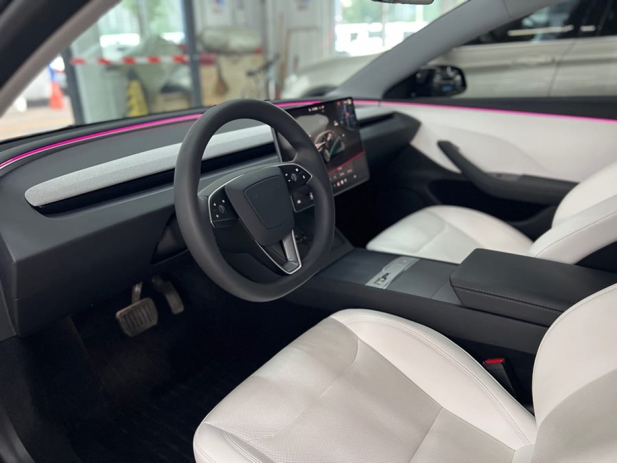 特斯拉 Model 3  2019款 長續(xù)航全輪驅動版圖片