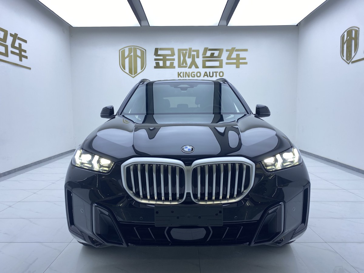 寶馬 寶馬X5  2023款 xDrive 40Li M運(yùn)動(dòng)曜夜套裝圖片