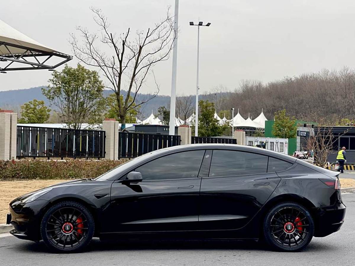 特斯拉 Model Y  2022款 Performance高性能全輪驅(qū)動版圖片