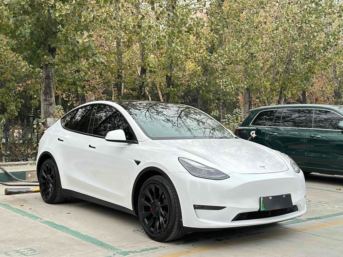 特斯拉 Model 3  2021款 改款 標準續(xù)航后驅(qū)升級版圖片