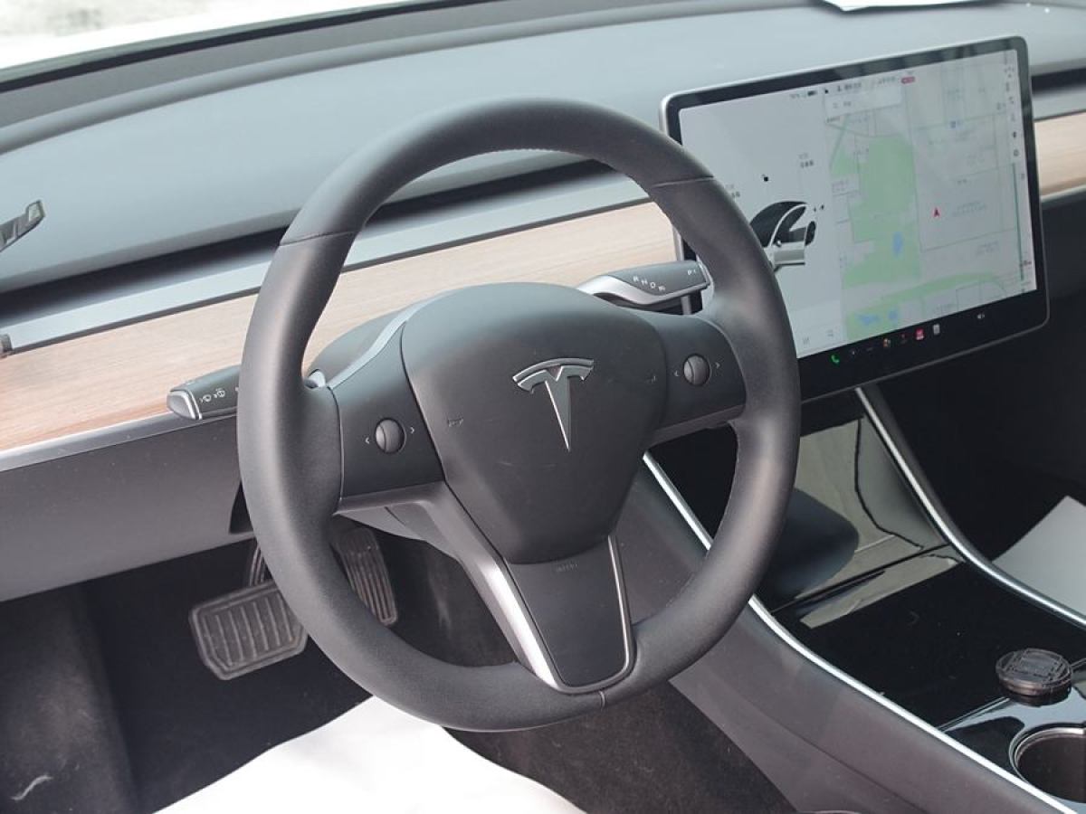 特斯拉 Model 3  2019款 長(zhǎng)續(xù)航后驅(qū)版圖片