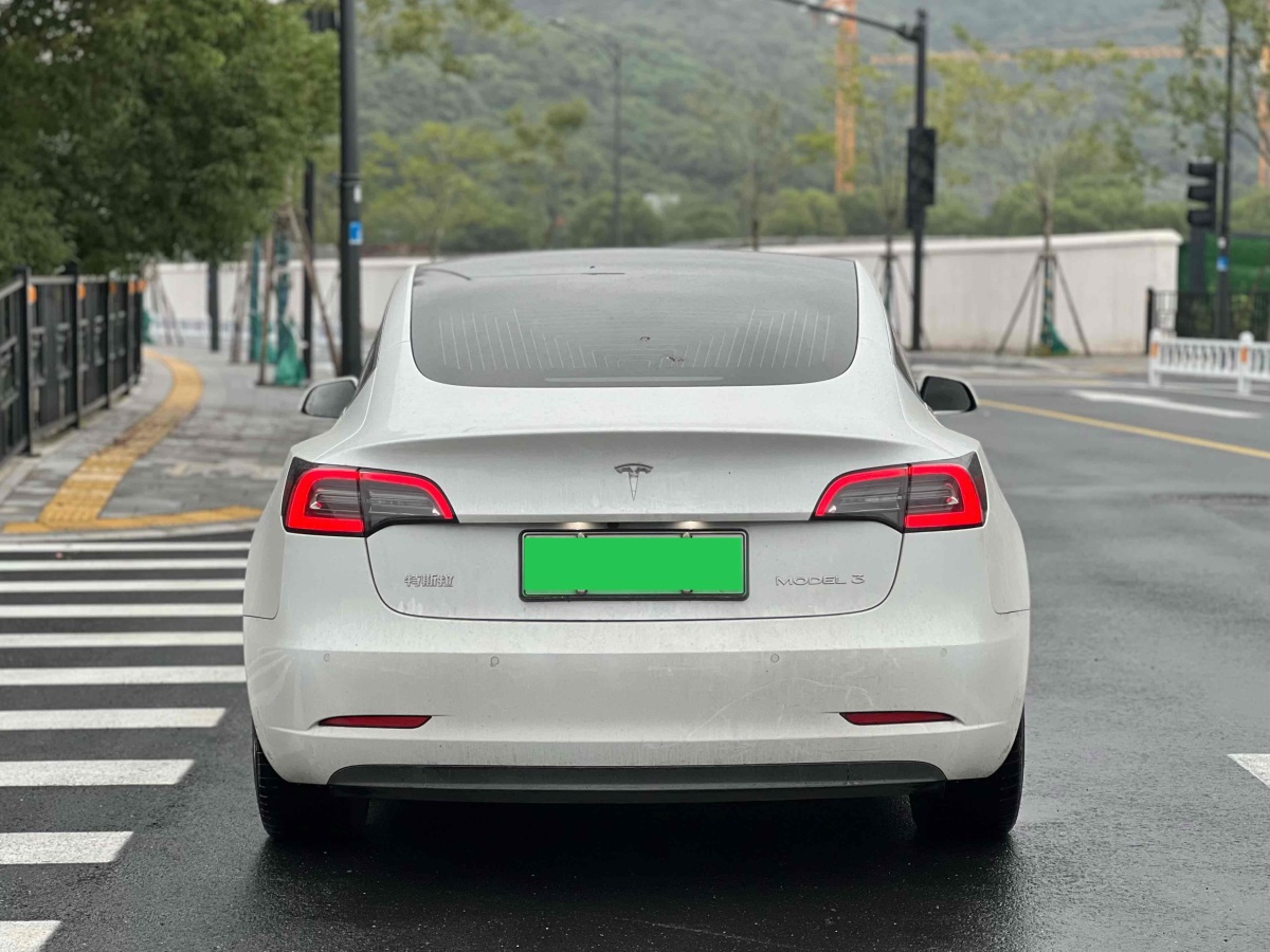 特斯拉 Model 3  2019款 標(biāo)準(zhǔn)續(xù)航后驅(qū)升級(jí)版圖片