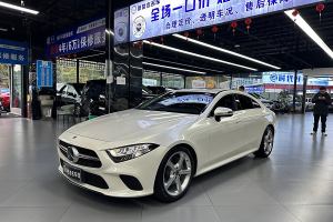 奔馳CLS級(jí) 奔馳 CLS 300 動(dòng)感型